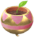 Piantina dorata (rosa).png