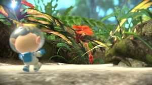 Pikmin3DX Alph PikminRosso.jpg