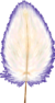 Piuma fenice.png