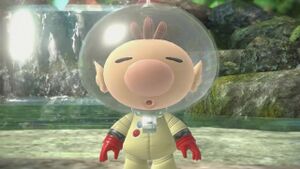 Olimar-Selva-Sorgente-Intro.jpg