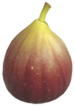 Polpa fiorita p3.png