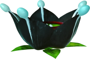 Cromanvillea rocciosa.webp