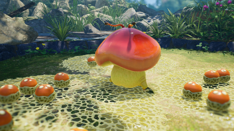 File:P4-Amanita panciuta-Piklopedia.png