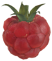 Graziosina p3.png