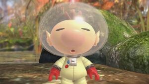 Olimar-Fiume-Tramonto-Intro.jpg