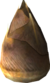 Germoglio inquieto p2.png